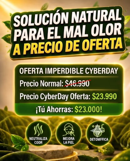 CLOROFILA BENEVOLENT VerdeVida®